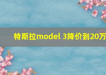 特斯拉model 3降价到20万